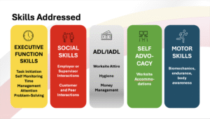 VRTP Skills Addressed