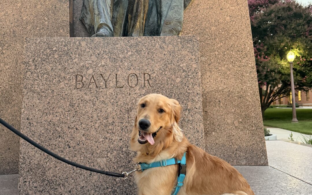 Indy