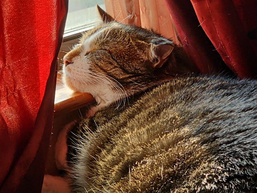 Finnegan